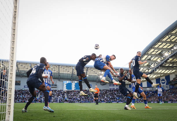 归化球员的 归化球员的